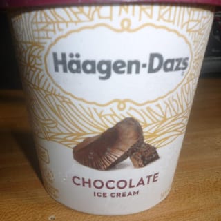 Häagen-Dazs chocolate
